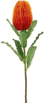 Zijden Bloem Large Banksia Orange Exotic 65 cm, Ophalen of Verzenden, Nieuw