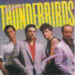 vinyl single 7 inch - The Fabulous Thunderbirds - Wrap It Up, Verzenden, Zo goed als nieuw