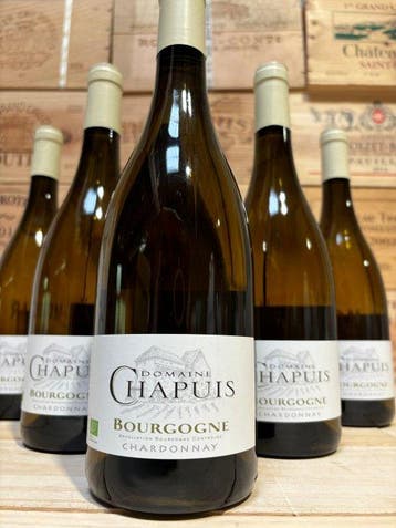 2021 Domaine Chapuis - Bourgogne - 6 Fles (0,75 liter), Nieuw