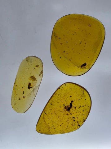 Birmese barnsteen - Barnsteen - Large Burmese amber specimen