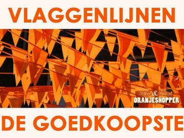 Oranje vlaggenlijnen kopen - Oranjeshopper.nl, Diversen, Vlaggen en Wimpels, Verzenden, Nieuw