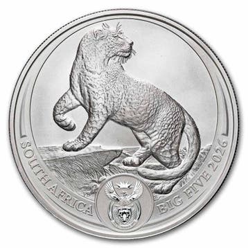 Big 5 Serie 3 - Leopard 1 oz 2026 (10.000 oplage), Postzegels en Munten, Verzenden, Zuid-Afrika, Losse munt, Zilver
