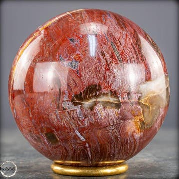 Natuurlijk versteend hout als bol – Intense houtnering in