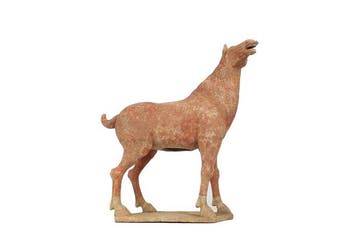 Oud Chinees, Tang-dynastie Terracotta Uiterst zeldzaam groot