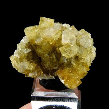 Geel Fluoriet - Le Toyot, Marigny-sur-Yonne, Nièvre,, Verzamelen, Mineralen en Fossielen