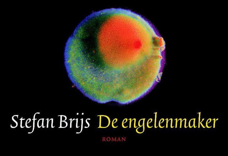 De engelenmaker / Dwarsligger / 95 - Stefan Brijs, Boeken, Romans, Gelezen, Verzenden