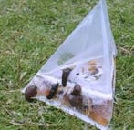 Zeg vaarwel tegen slakkenvraat met deze slimme sla, Verzenden, Nieuw