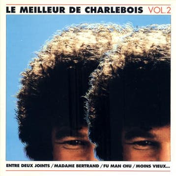 Robert Charlebois - Le Meilleur De Charlebois Vol. 2, Ophalen of Verzenden, Gebruikt
