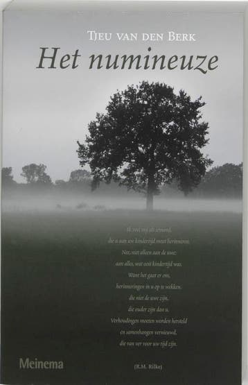 Het numineuze - T. van den Berk 9789021140407, Boeken, Verzenden, Gelezen, T. van den Berk