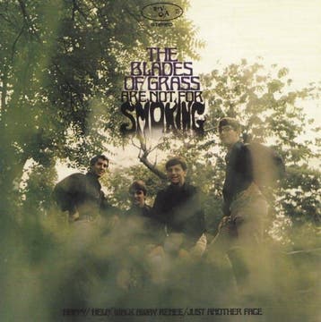 cd - The Blades Of Grass - The Blades Of Grass Are Not Fo..., Verzenden, Zo goed als nieuw