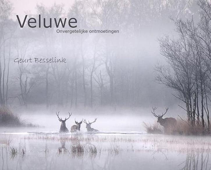 Veluwe, onvergetelijke ontmoetingen 9789081317313, Boeken, Hobby en Vrije tijd, Gelezen, Verzenden