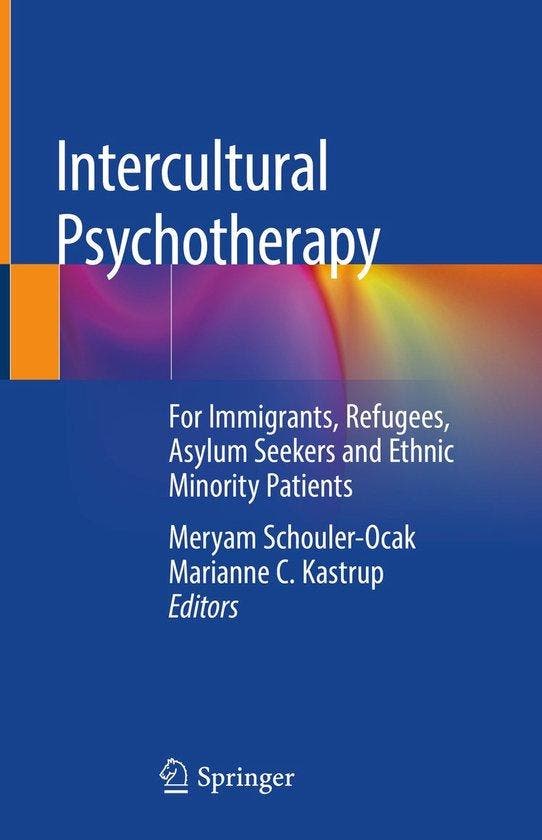 Intercultural Psychotherapy 9783030240813, Boeken, Taal | Engels, Gelezen, Verzenden