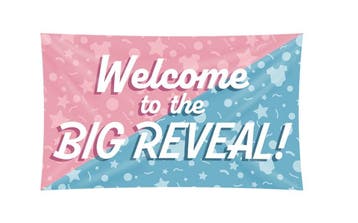 Gevelvlag Welcome Gender Reveal (150x90cm), Ophalen of Verzenden, Nieuw