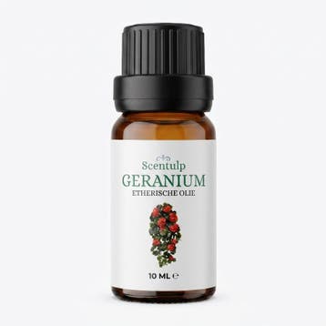 Etherische Olie Geranium – BIO - 10ml | Scentulp, Verzenden, Nieuw