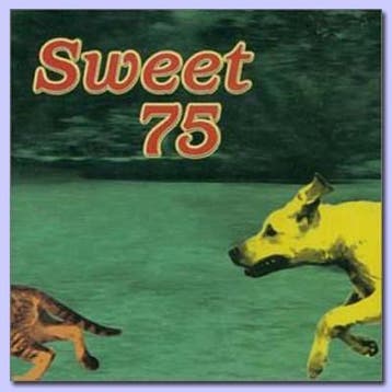 cd - Sweet 75 - Sweet 75, Verzenden, Zo goed als nieuw