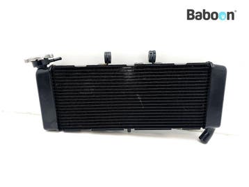 Radiateur Honda X-ADV 750 2025-2026 (X-ADV ADV750 RH21), Verzenden, Gebruikt
