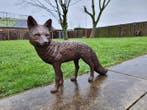 Beeld, Large Bronze Lifelike Fox - Amazing Details 57cm - 38