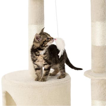 Krabpaal Dominik 144cm - beige, Dieren en Toebehoren, Verzenden, Nieuw