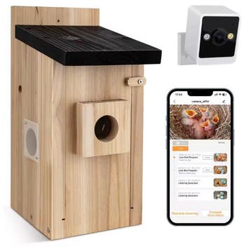 Vogelhuis met Camera en Nachtzicht – Houten Nestkast