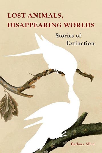 9781836390459 Lost Animals, Disappearing Worlds, Verzenden, Nieuw, Barbara Allen