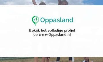 Anouck zoekt een oppas in St. Willebrord voor 2 kinderen., Vacatures