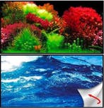 Osaka achterwandposter Ocean/Ruby (Achterwandposters), Ophalen of Verzenden, Nieuw