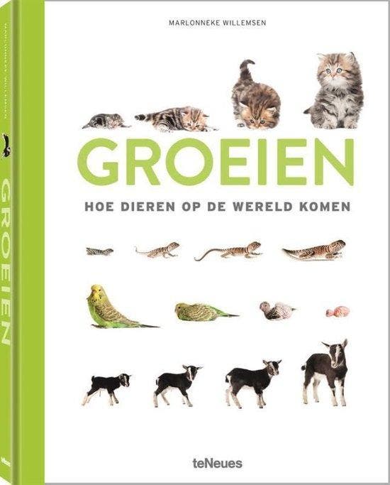 9783961713424 Groeien | Tweedehands, Boeken, Studieboeken en Cursussen, Zo goed als nieuw, Verzenden