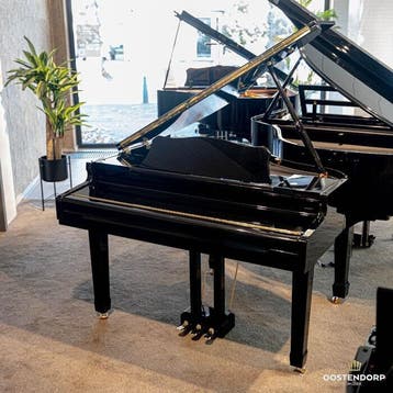 Oostendorp Digital Classic Semi Grand Elite IV PE messing, Nieuw, Zwart, Vleugel