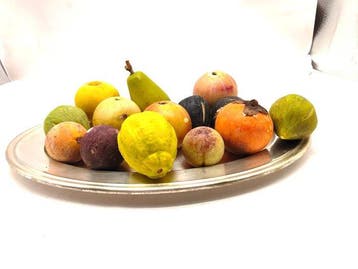 Figuur - Lotto van veertien stukken fruit vervaardigd uit
