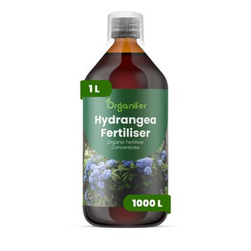 Hortensia Vloeibare meststof - 1 liter, Tuin en Terras, Verzenden, Mest