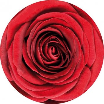 Onderzetters met rode roos bloemen 10 stuks - Valentijn ar.., Ophalen of Verzenden, Nieuw