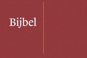 9789089124388 NBV21 Dwarsligger, Boeken, Verzenden, Nieuw