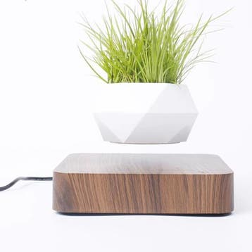 Zwevende Bonsai Bloempot met Magnetische Levitatie Rotatie, Verzenden, Nieuw