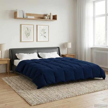 vidaXL Zomer Dekbed 220 x 240 cm Zomer Microfiber (100%, Verzenden, Nieuw, Blauw