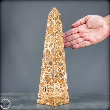 Natuurlijke AAA++ luipaardjaspis Obelisk- 1479.44 g