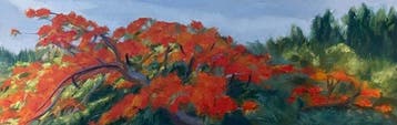 Roland Richardson (1944) - Flamboyant in the Field, Mullet, Antiek en Kunst