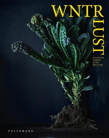 Winterlust | Debby De Mangelaere; Wout Hendrickx | Nieuw, Ophalen of Verzenden, Nieuw, Debby De Mangelaere; Wout Hendrickx