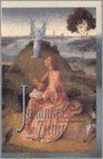 Johannes de ziener - J. Nieuwenhuis 9789043509169, Boeken, Verzenden, Gelezen, J. Nieuwenhuis