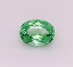 1 pcs Groen Paraiba toermalijn - 12.88 ct - Gemological, Nieuw