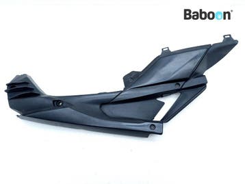 Buddypaneel Rechts Aprilia RS 125 2006-2012 (RS125), Motoren, Onderdelen | Overige, Verzenden, Gebruikt