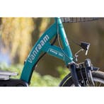 scootmobielfiets van Raam Easy Go, Ophalen of Verzenden, Nieuw