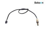 Lambda Sonde Suzuki GSX R 1000 2009-2011 (GSXR1000 K9/L0/L1), Motoren, Verzenden, Gebruikt