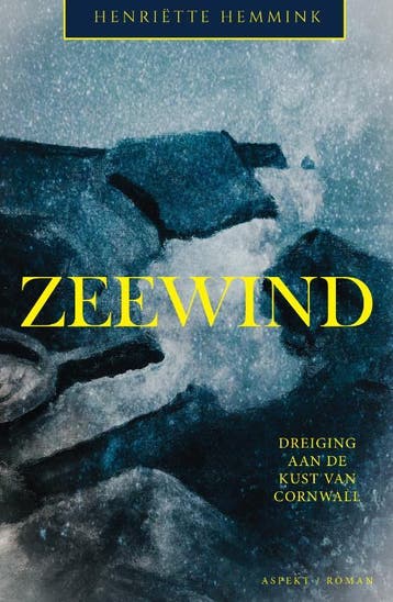 Zeewind - Henriëtte Hemmink 9789464242065, Boeken, Verzenden, Zo goed als nieuw, Henriëtte Hemmink