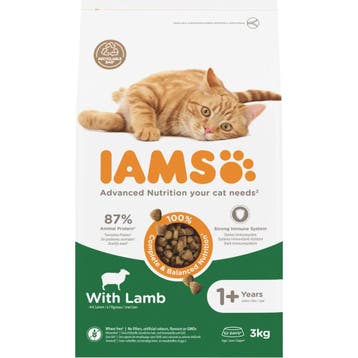 3x IAMS Kat Adult Lam 3 kg, Verzenden, Nieuw