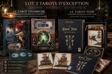 Tarotkaarten - 2 Tarots dexception. Steampunk et Tarot