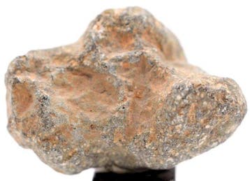 NWA 15244 HED-achondriet eucriet monomictisch. Achondrite