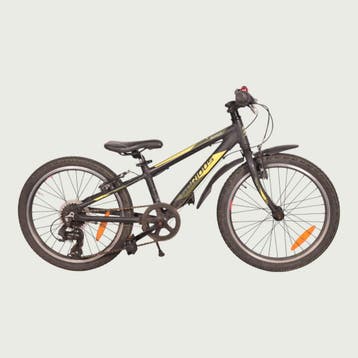 BikeFlip kinderfiets 20 inch, Ophalen of Verzenden, Gebruikt, BikeFlip
