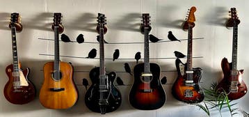 Fender, Gibson, Martin, Eastman Inkoop en verkoop, Muziek en Instrumenten, Snaarinstrumenten | Gitaren | Elektrisch, Nieuw