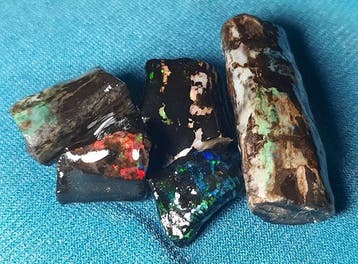32,6 ct - 5 Natuurlijke zwarte opaal ruwe - Houtfossiel-