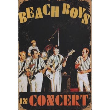 Wandbord - Beach Boys In Concert, Verzamelen, Ophalen of Verzenden, Nieuw, Poster, Artwork of Schilderij